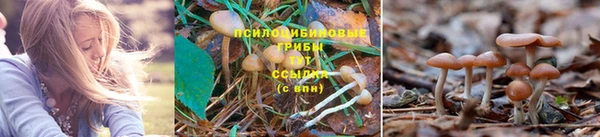 крисы Балабаново