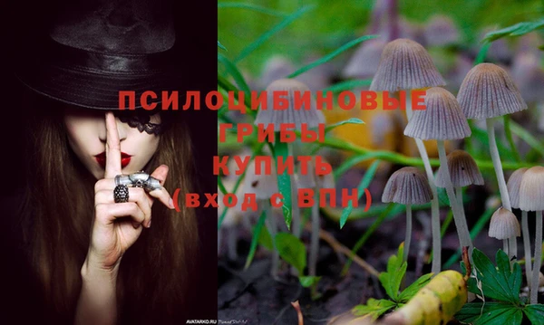 молекула духа Баксан