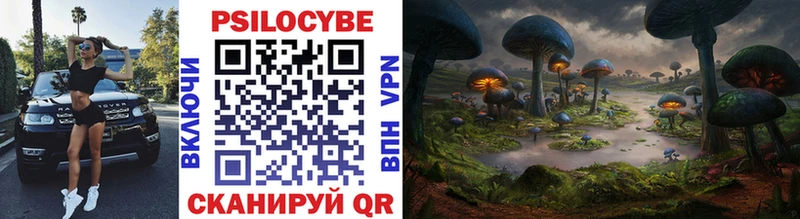 Галлюциногенные грибы MAGIC MUSHROOMS Грязи